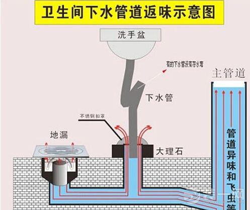 卫生间地漏安装步骤图图片